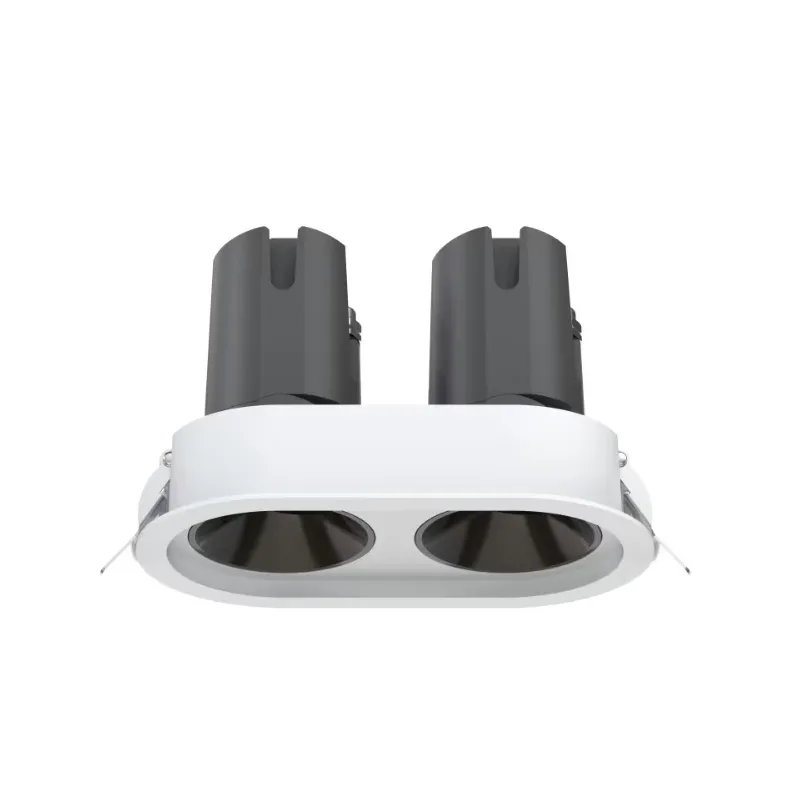 20W 2 Head Round Recessed Spotlights