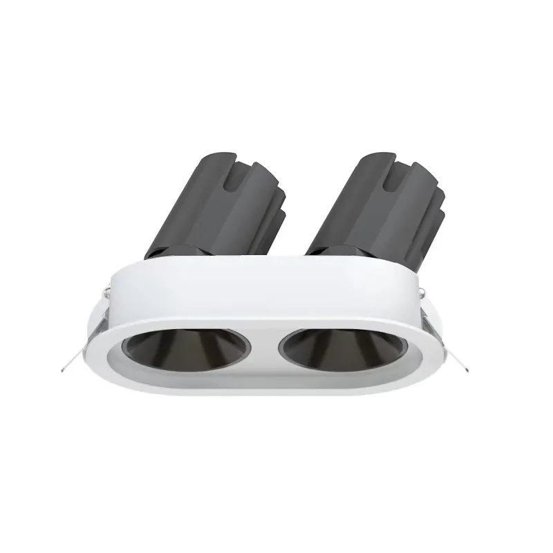 20W 2 Head Round Recessed Spotlights