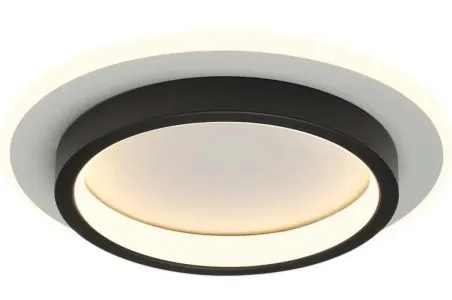Which light is good for a ceiling?